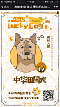 [米田/主动设计整理]腾讯·大辽网：狗年来临 谁才是你的lucky dog？ - 爱果果