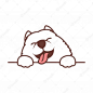 Funny samoyed dog paws up over wall Premium Vector