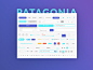 Base Elements Of Patagonia Ui kit