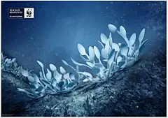 WWF的这些公益广告，你能看懂多少？
有70%的朔料被废弃在了大海中。保护海洋，人人有责。