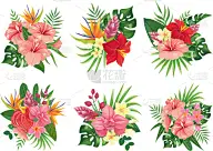 花束,热带气候,热带的花,棕榈叶,请柬,纺织品,干酪藤,婚礼,玻利尼西亚,自然美