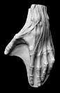 Anatomical Hand on Panel