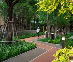 LANDBF采集到居住区—健身步道