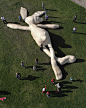 交叉着腿的巨型兔子雕塑sunbathing hare by florentijn hofman-mooool设计