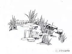 园林景观手绘｜植物线稿50张 : 微信公众号：木子小鱼手绘 这是园林景观手绘第三篇。 整理了植物线稿50张。依次是地被植物，盆栽植物，乔木，灌木，针叶类，棕榈类植物和小景。 1。地被植物，长草的线稿。 2。盆栽植物线稿。 3。乔木的线稿。 4...