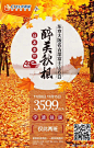 中青旅在宁波的照片 - 微相册