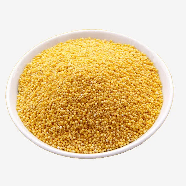 黄小米食品粮食_新图网 https://www.ixintu.com