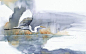 When I’m Not Working As A Biologist, I Paint Watercolor Birds | Bored Panda: 