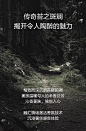 珀莱雅-香调