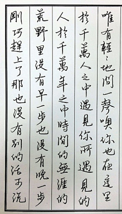 RayChen000采集到字体