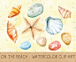 Summer Clipart, Digital Shells, Stones, Starfish, Sand, Repeatable Background, Watercolor Clipart