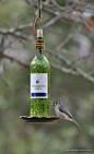 DIY Wine Bottle Bird-Feeders #手工#