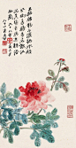 张大千 花卉欣赏 