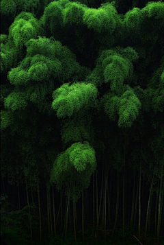 陌上花开且供从容采集到花草静物-----草长莺飞（动物）