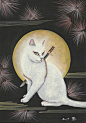 【周三插画】【插画作品】日本猫画家田中秀治浮世绘作品--浮世忍者猫。【Hany出品，喜欢分享】-日本设计，驻足细节。小站-人人小站