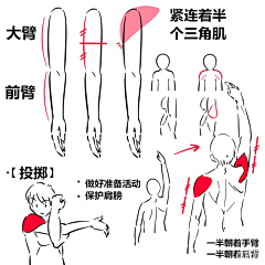 YUANNNxxx采集到教程