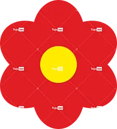 花 花卉 花朵 花壁纸 植物 春天 美丽的花朵 绽放 场地