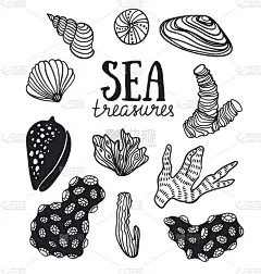 海洋宝藏珊瑚，贝壳，石头，海草。矢量插图。