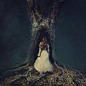 BROOKE SHADEN | The In-Between | New Photographic Works