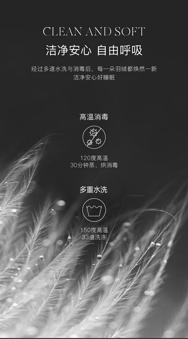 【预售】【肖战同款】梦洁羽绒被95白鹅绒...