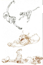 Claire Wendling's Cats猫科动物