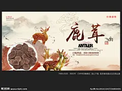 鹿茸 鹿茸海报 鹿茸展板 鹿茸草药 鹿茸药材 鹿茸名贵中药 鹿茸壮阳 鹿茸补肾 鹿茸养生 鹿茸牛鞭 鹿茸鹿鞭 鹿茸中药 鹿茸燕窝 鹿茸壮骨 鹿茸熊掌 鹿茸酒 新疆鹿茸 鹿茸补血 鹿茸中医 传统鹿茸 高丽参 人参 鹿茸粉 冬虫夏草 中药滋补 中药补品 中药 中草药 中药文化 金汤鹿茸 东北鹿茸 养生 