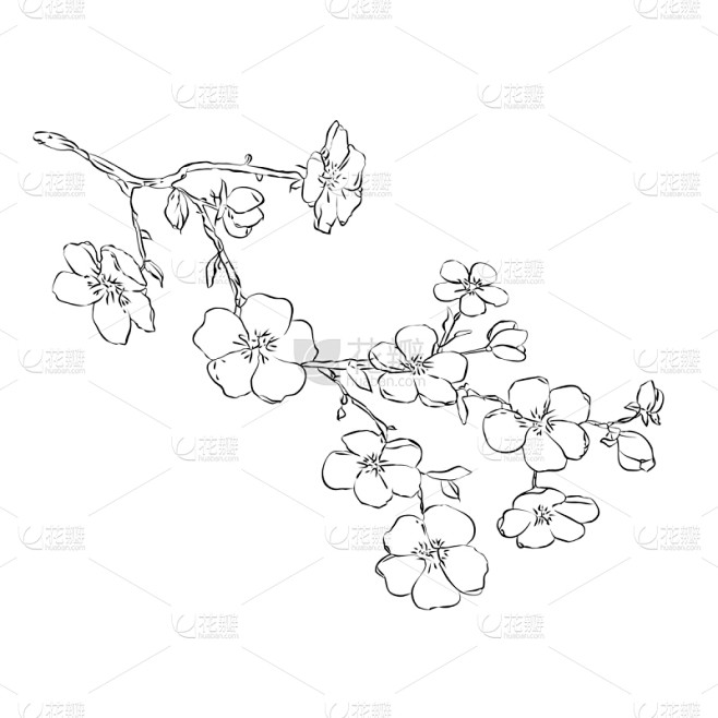 花朵,嫩枝,苹果,樱桃,自然美,春天,植...