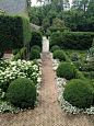 Boxwood and white flower hedges...: 