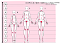 汎用型女性2-9頭身人体の割合 [1]
