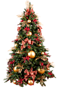 Xmas tree png 19 by iamszissz