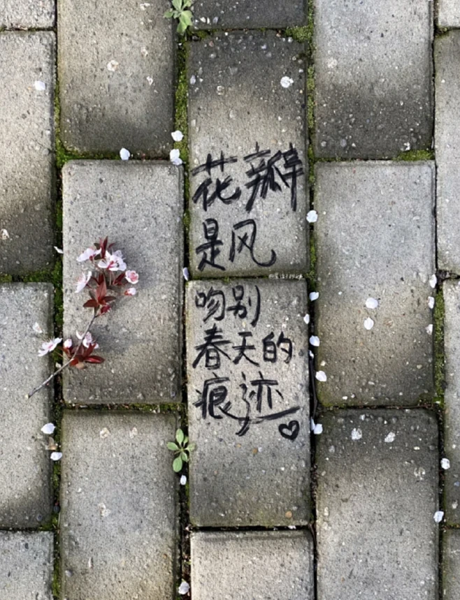 废话王阿姨的诗-花瓣网