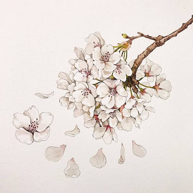 이랑 Yirang Kim (@dang...