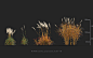 MT_PM_Miscanthus_purpurascens_01_05_08