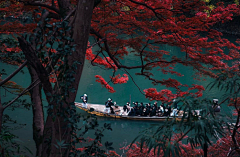 翼米采集到场景