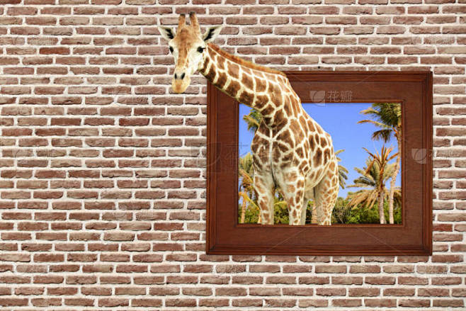木制框架长颈鹿，对旧砖墙有3D效果。文本...