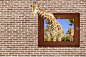 木制框架长颈鹿，对旧砖墙有3D效果。文本的复制空间