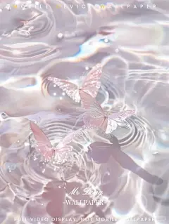 董先生壁纸 - 小红书