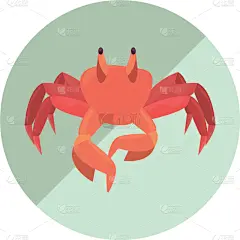 野生动物,海洋,图标,绘画插图,螃蟹,自然,晚餐,海产,清新,烹调