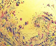 标签为插画的热门图片 -- TOPIT.ME 收录优美图片