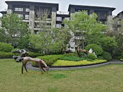 龙湖植物