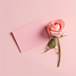 beautiful product style shot of a blank rose colored giftcard on an infinite light rose pastel colored background
