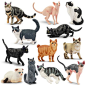 EYSCOTA 12PCS Cat Figurines, Plastic Cat Figures Realistic Kitten Toys, Cat Cake Toppers Birthday for Kids & Children