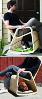 创意主宠摇椅，主人和宠物可以一起坐的椅子。