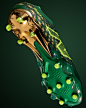 Photo by Pro:Direct Soccer on December 10, 2024. May be an image of cleats and text.