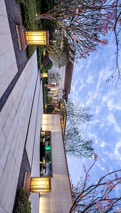 WB石头采集到灯具