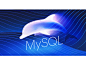 MySQL Dolphin