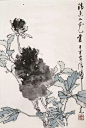 于希宁花鸟