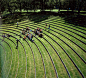 conceptlandscape:

Amphitheater @ University of Aarhus - C. Th. Sørensen