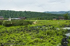 山村沼泽