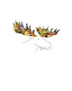 Flora and Animals 【Katie Vernon 】-淡彩手绘插画☂猫大仙儿小站-人人小站